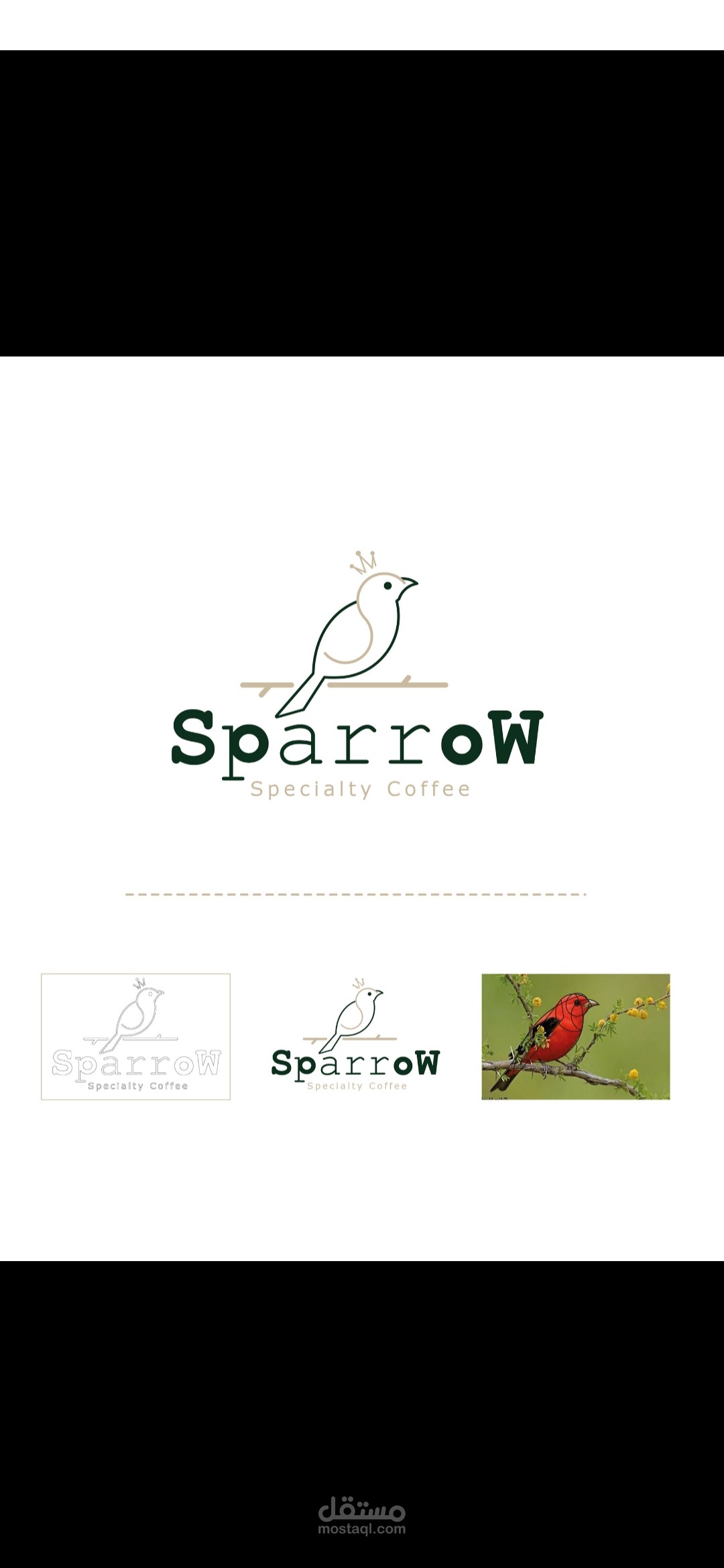 Sparrow