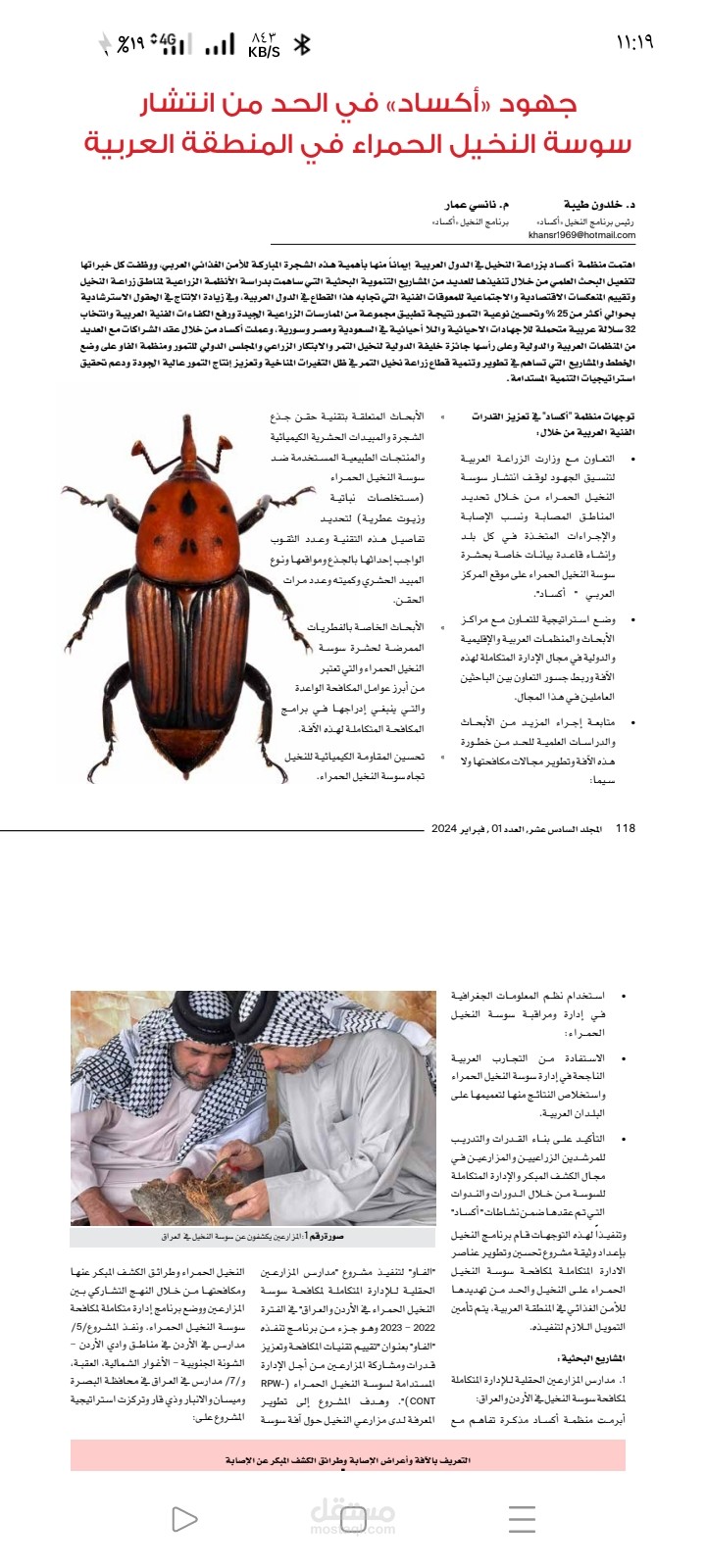 جهود اكساد في الحد من انتشار سوسة النخيل الحمراء في المنطقة العربية