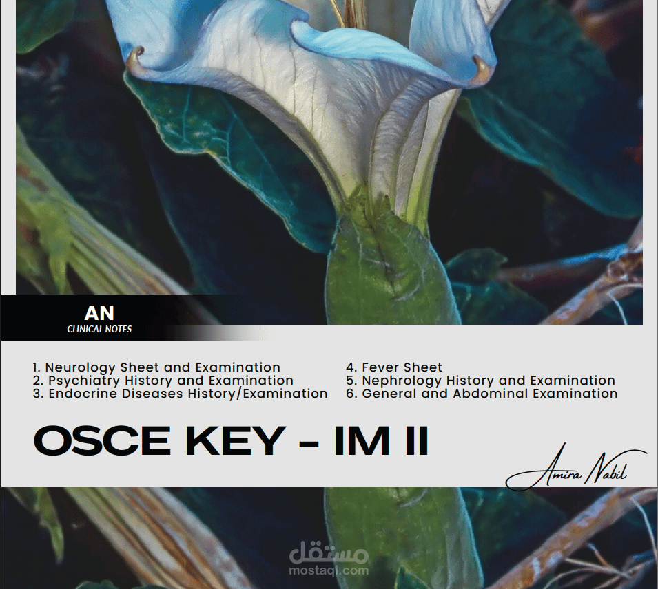 Internal Medicine OSCE checklists (English/Arabic)