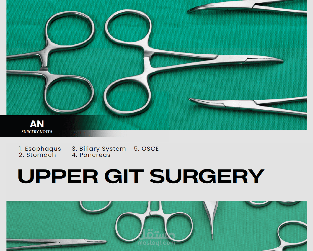 Your Book Turned into Smart Notes