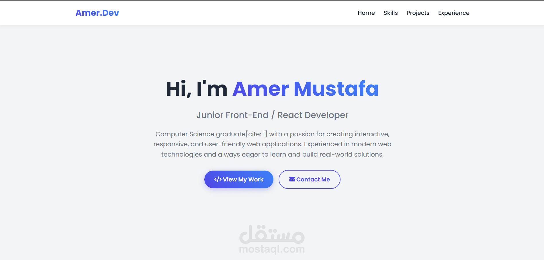 Amer.dev - Portfolio