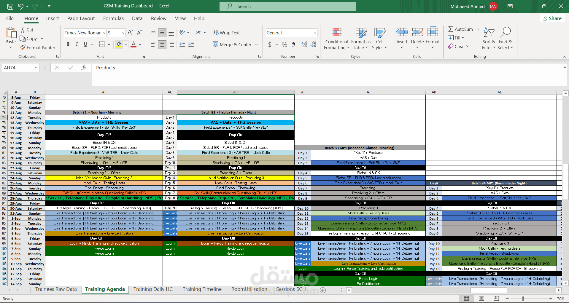 متخصص في إدخال وتحليل البيانات باستخدام Excel