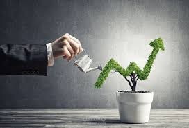 تحليل المبيعات والأرباح باستخدام Excel – Profit & Sales Dashboard
