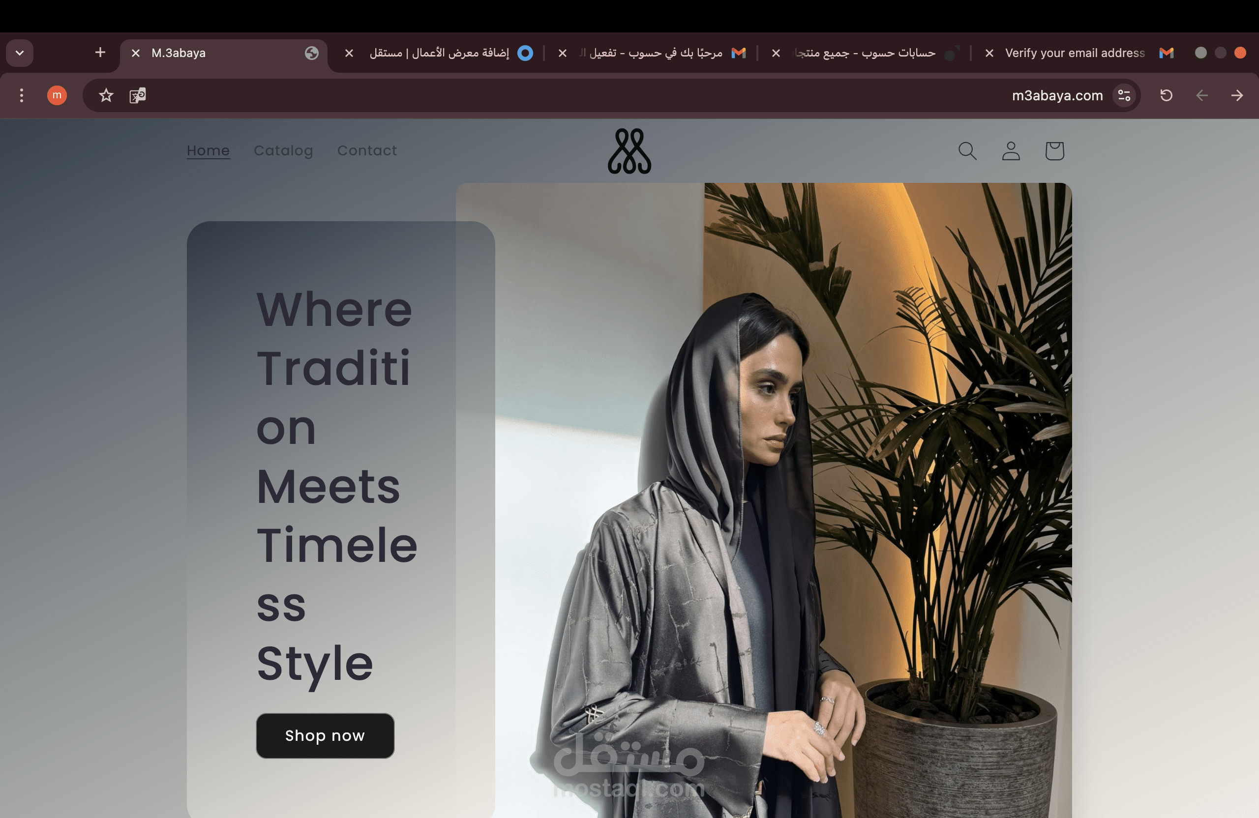 Shopify Developer