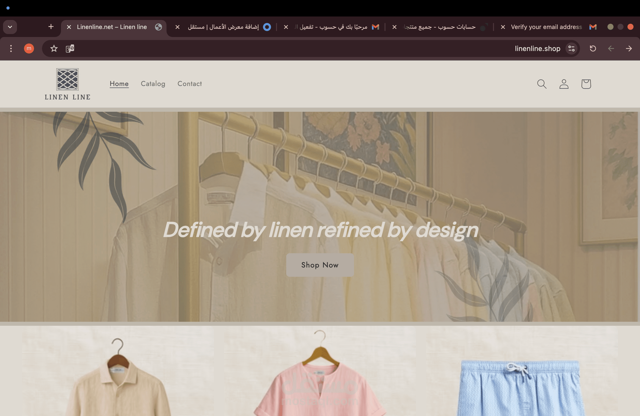 Shopify Developer