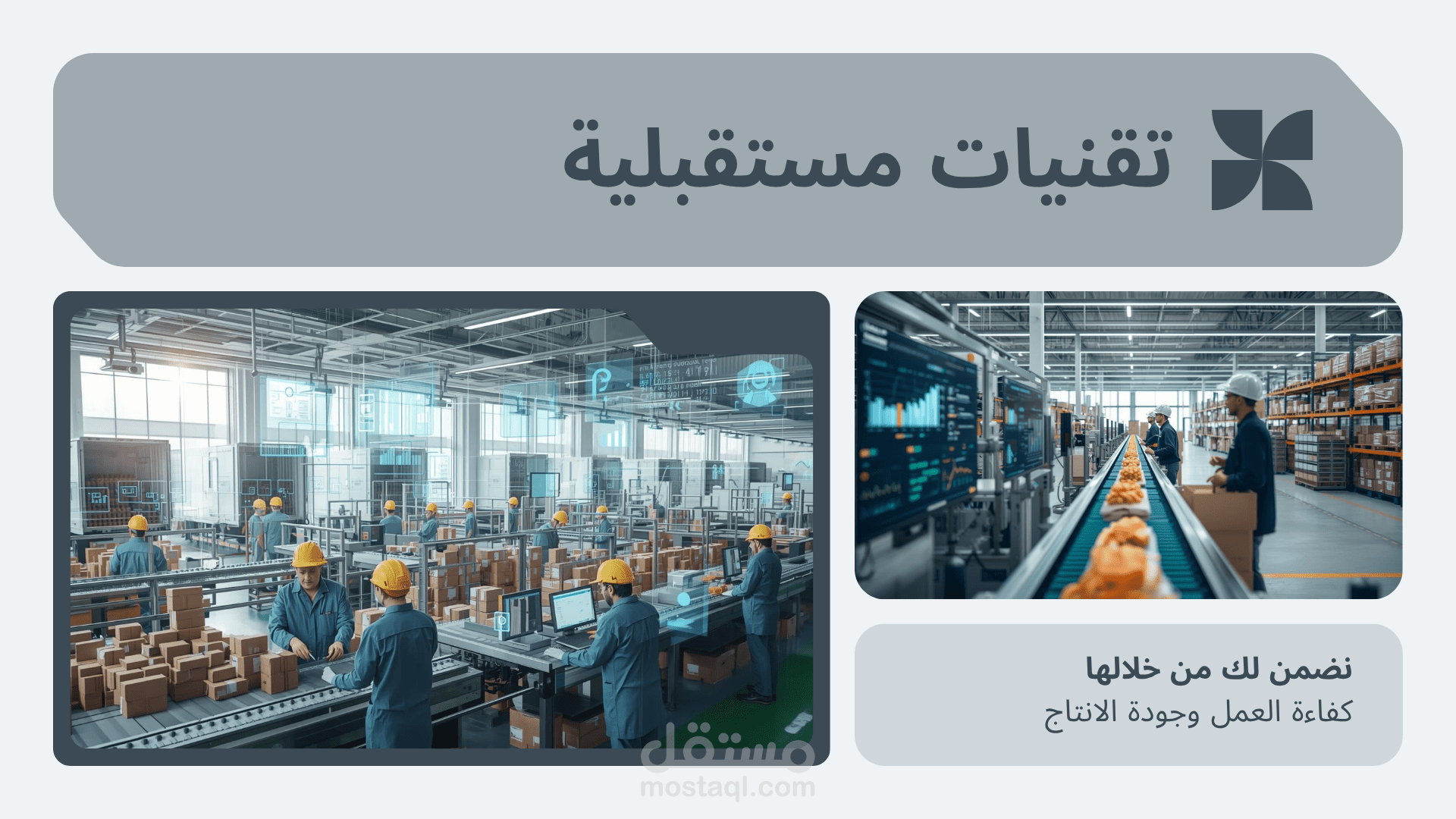 نظام إدارة الشركات والمصانع