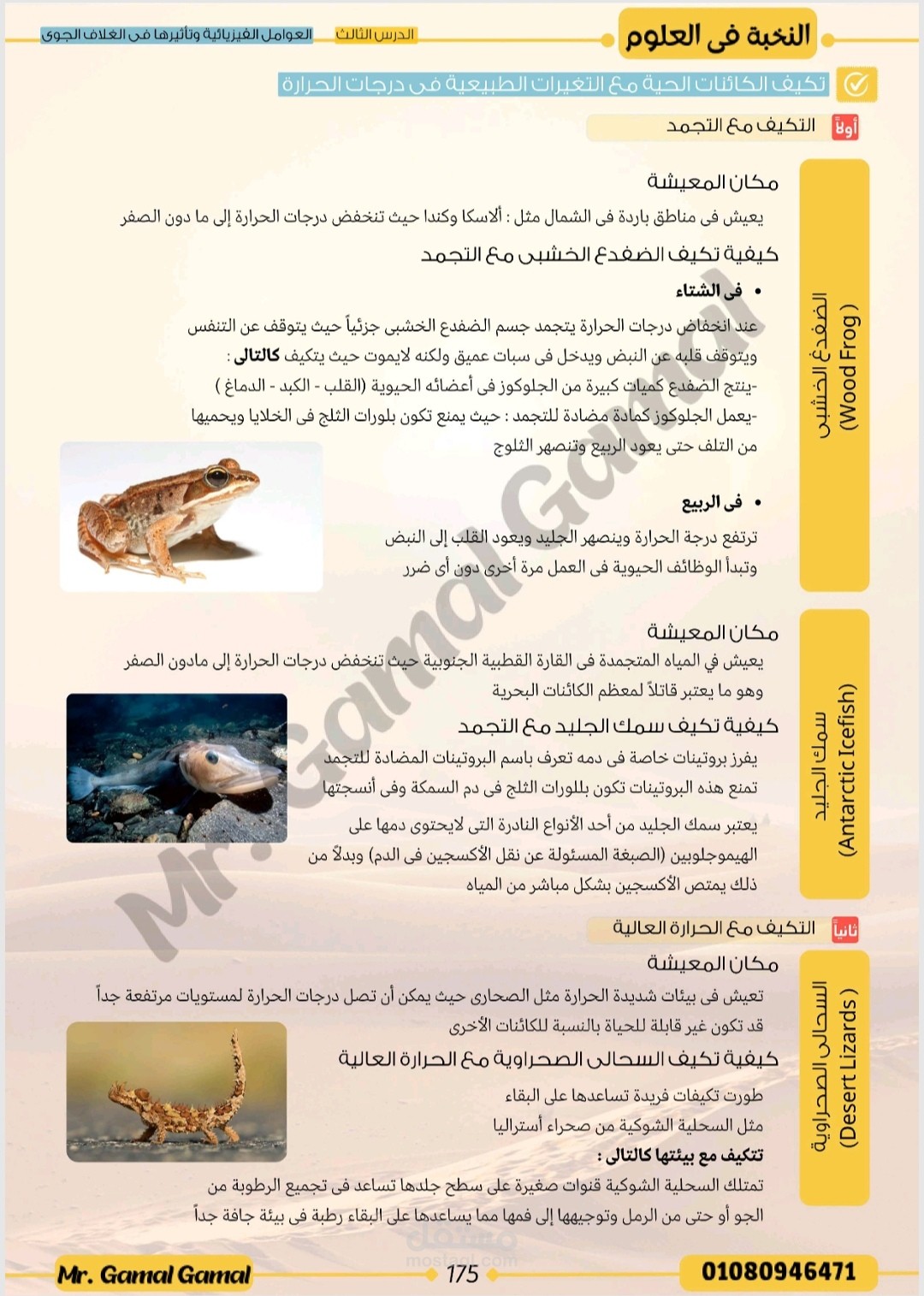 جزء من درس من الصف الأول الثانوي