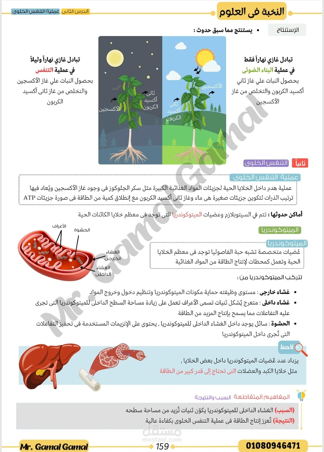 جزء من درس من الصف الثاني الاعدادي