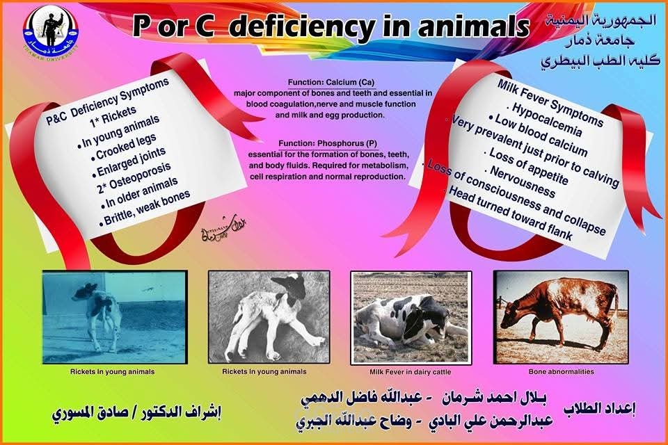 تصاميم اللوحات المدرسية والجامعية