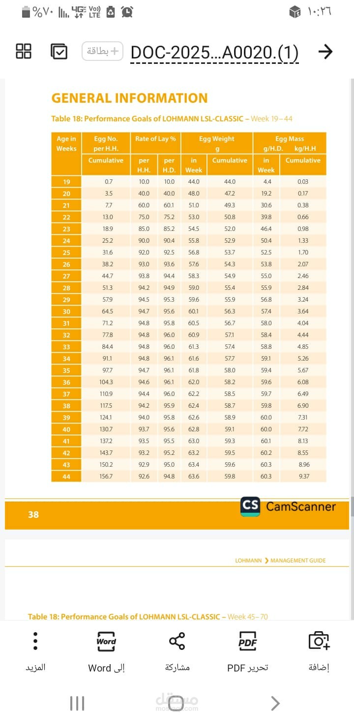 اعداد التقارير وتحويل الملفات الورد الى بي د اف