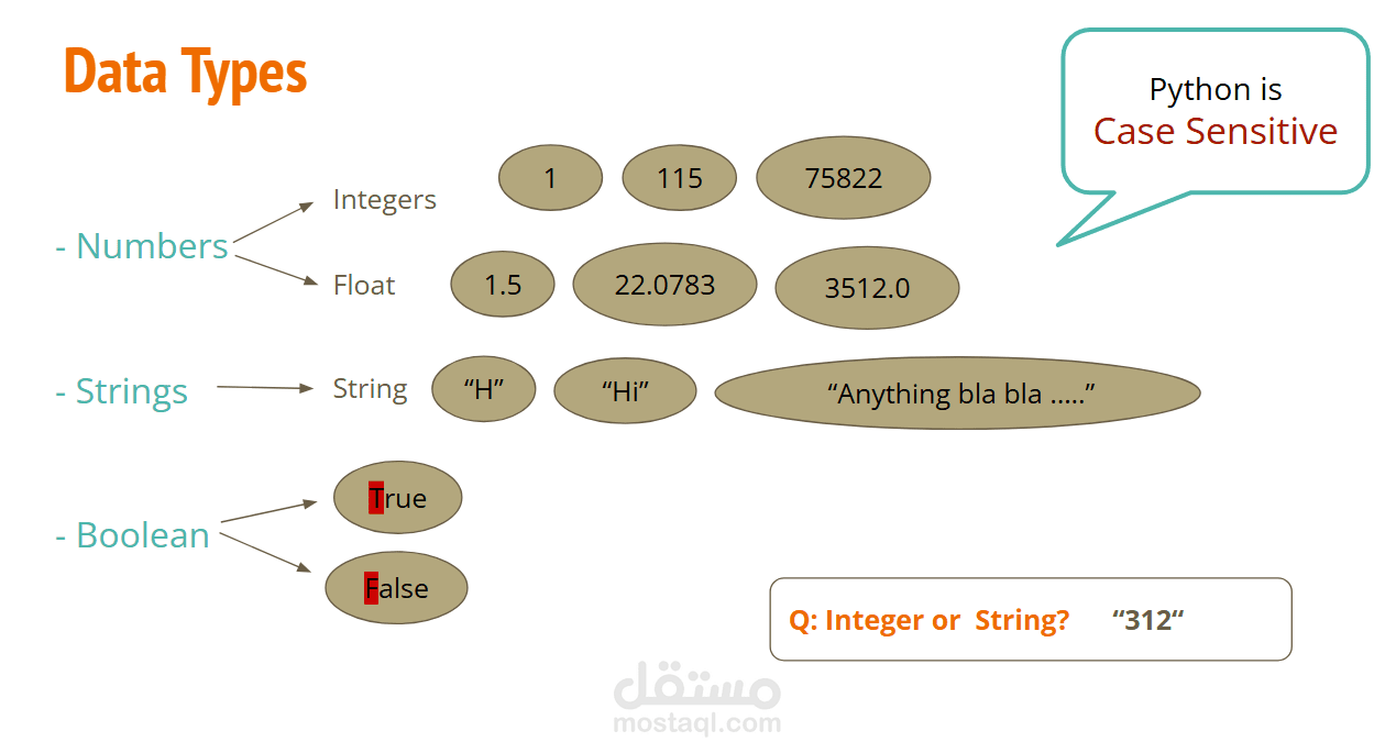 شرح مقدمة في البرمجة باستخدام python