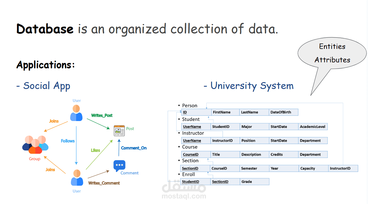 شرح قواعد البيانات وSQL