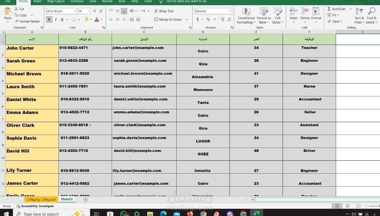 نموذج Excel لإدخال البيانات وتنسيق احترافي