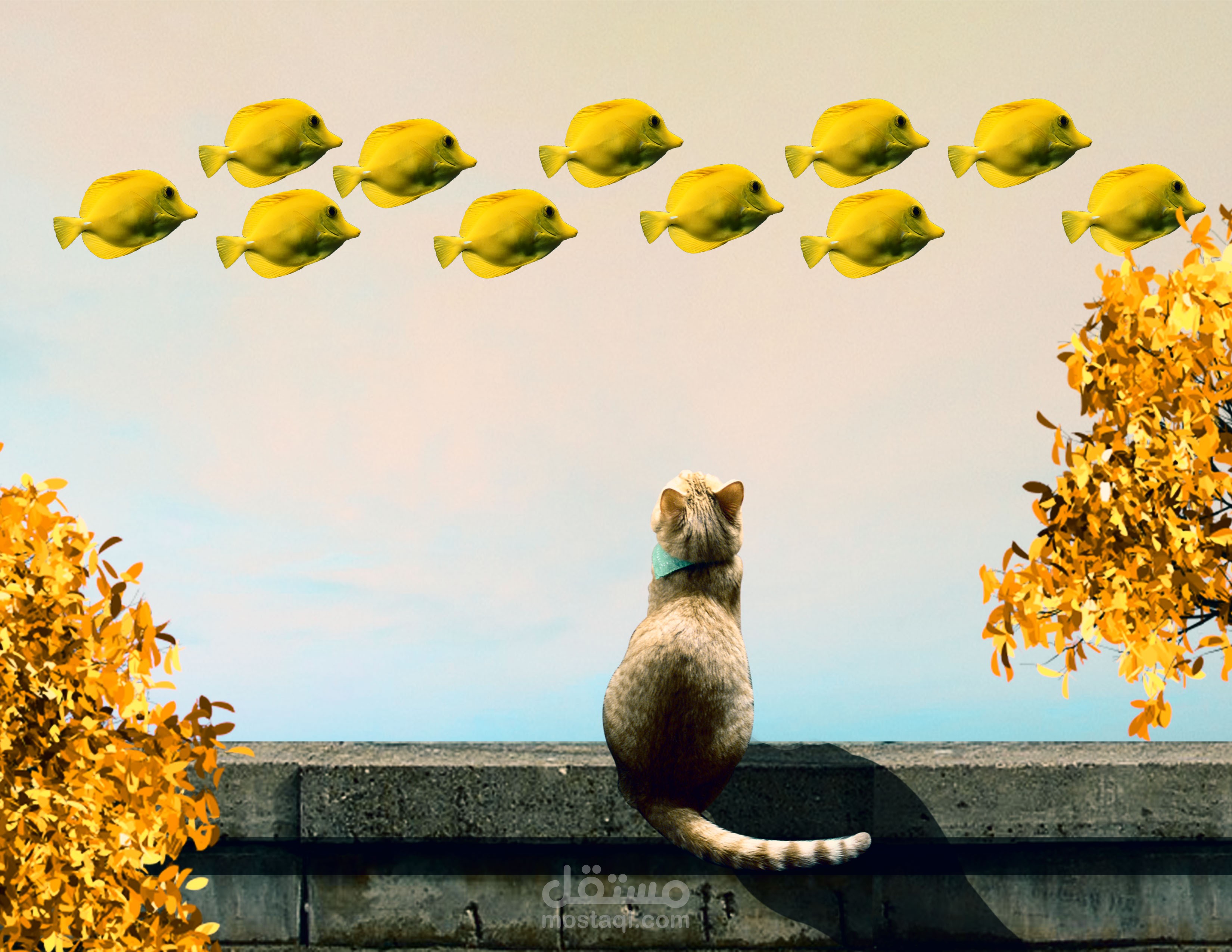 تصميم مجلات بطريقة احترافية