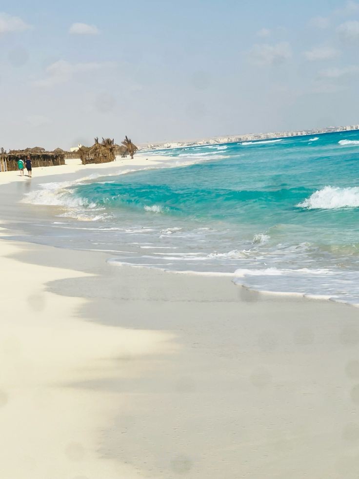 إدارة حملة إعلانية ناجحة لشركة سياحة