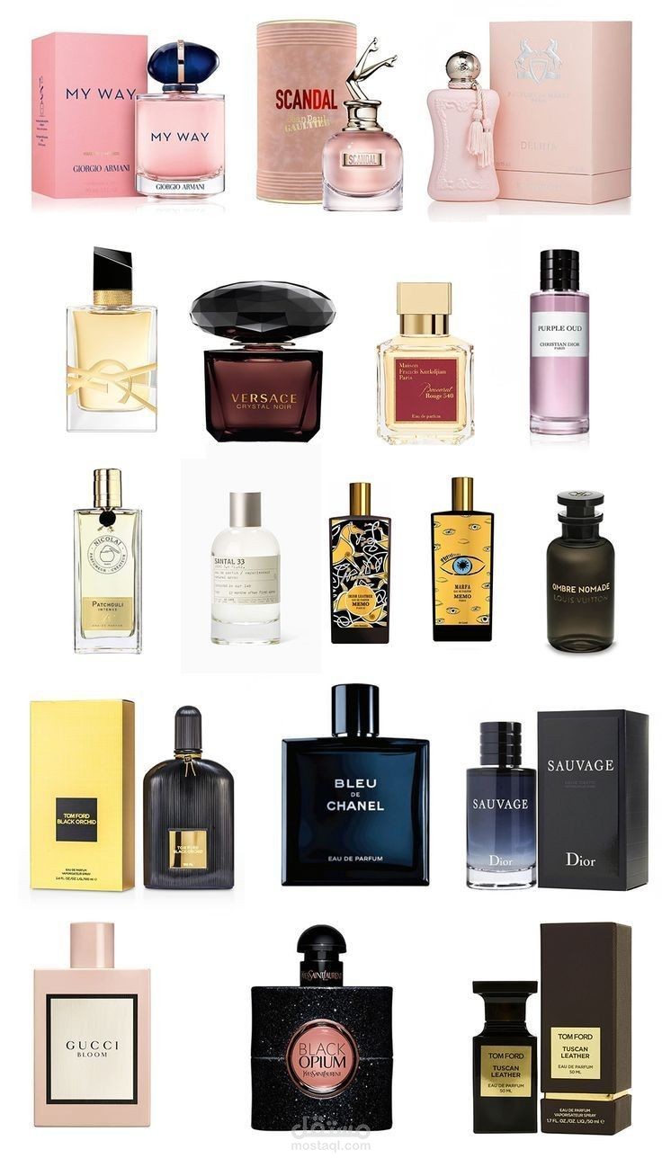 إدارة حملة B2B ناجحة: جذب تجار عطور وتحقيق مبيعات بالجملة بأعلى كفاءة.