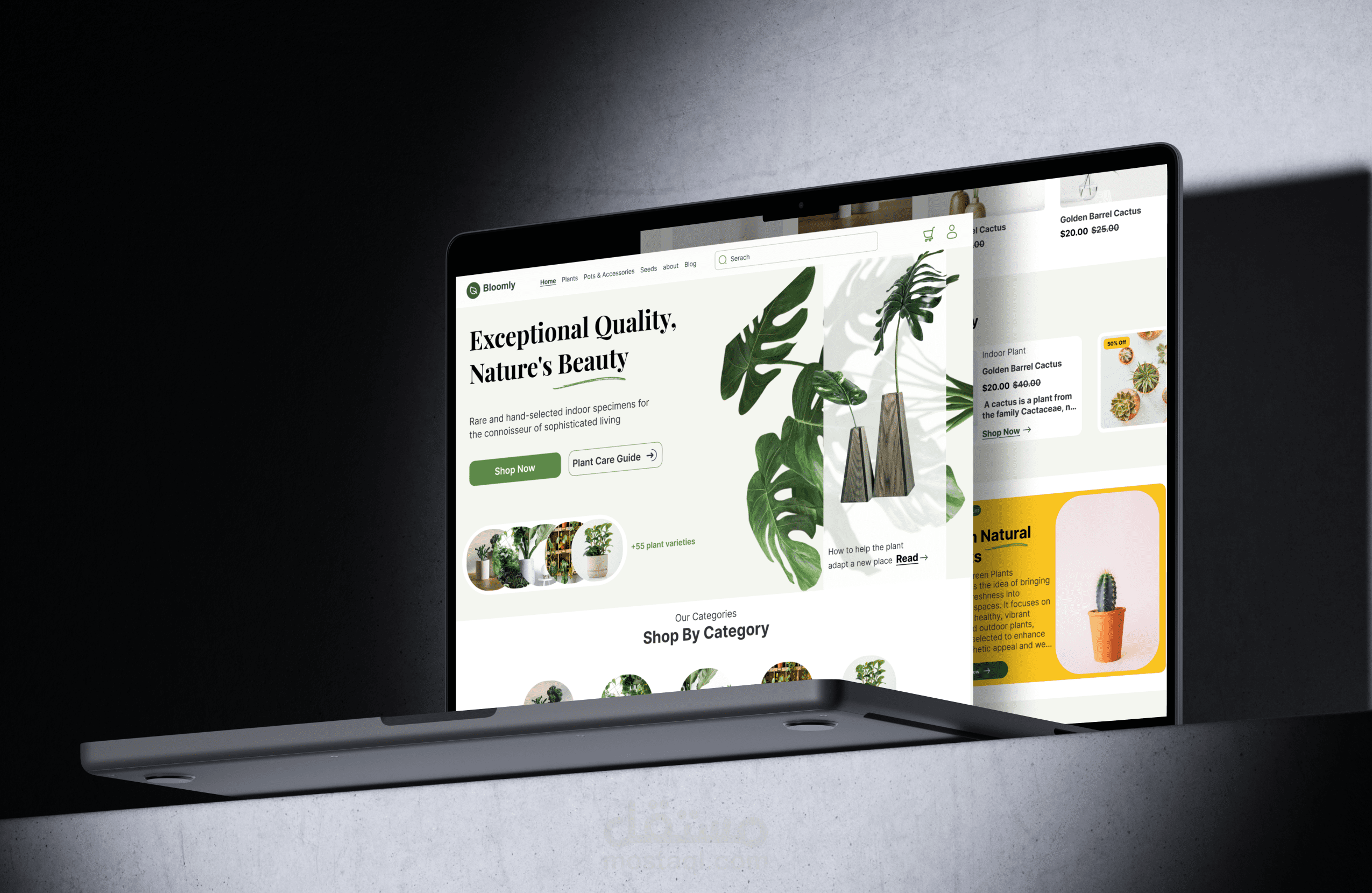 UI/UX design project for landing page e-commerce website for plants