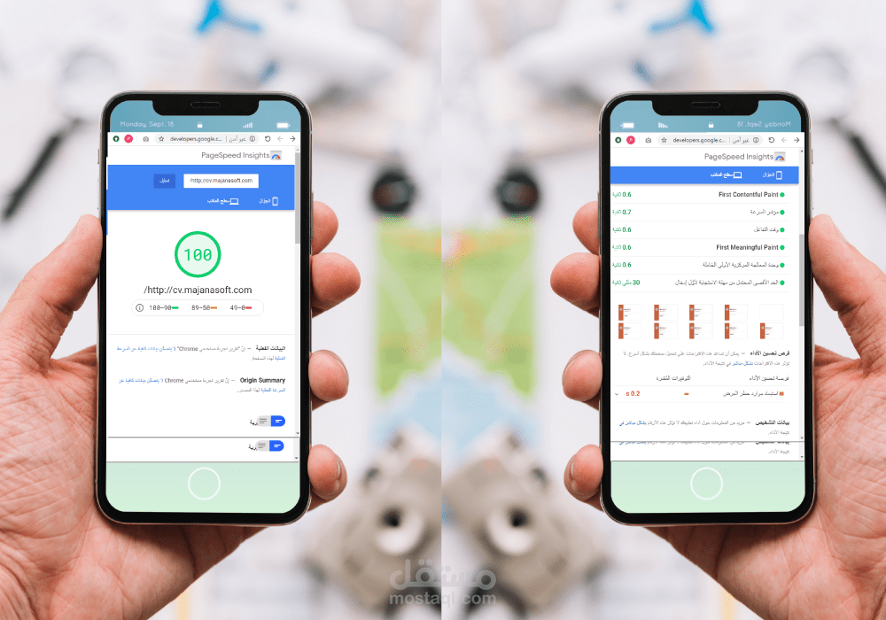 فحص لسرعة واداء مواقع من اعمالي 1