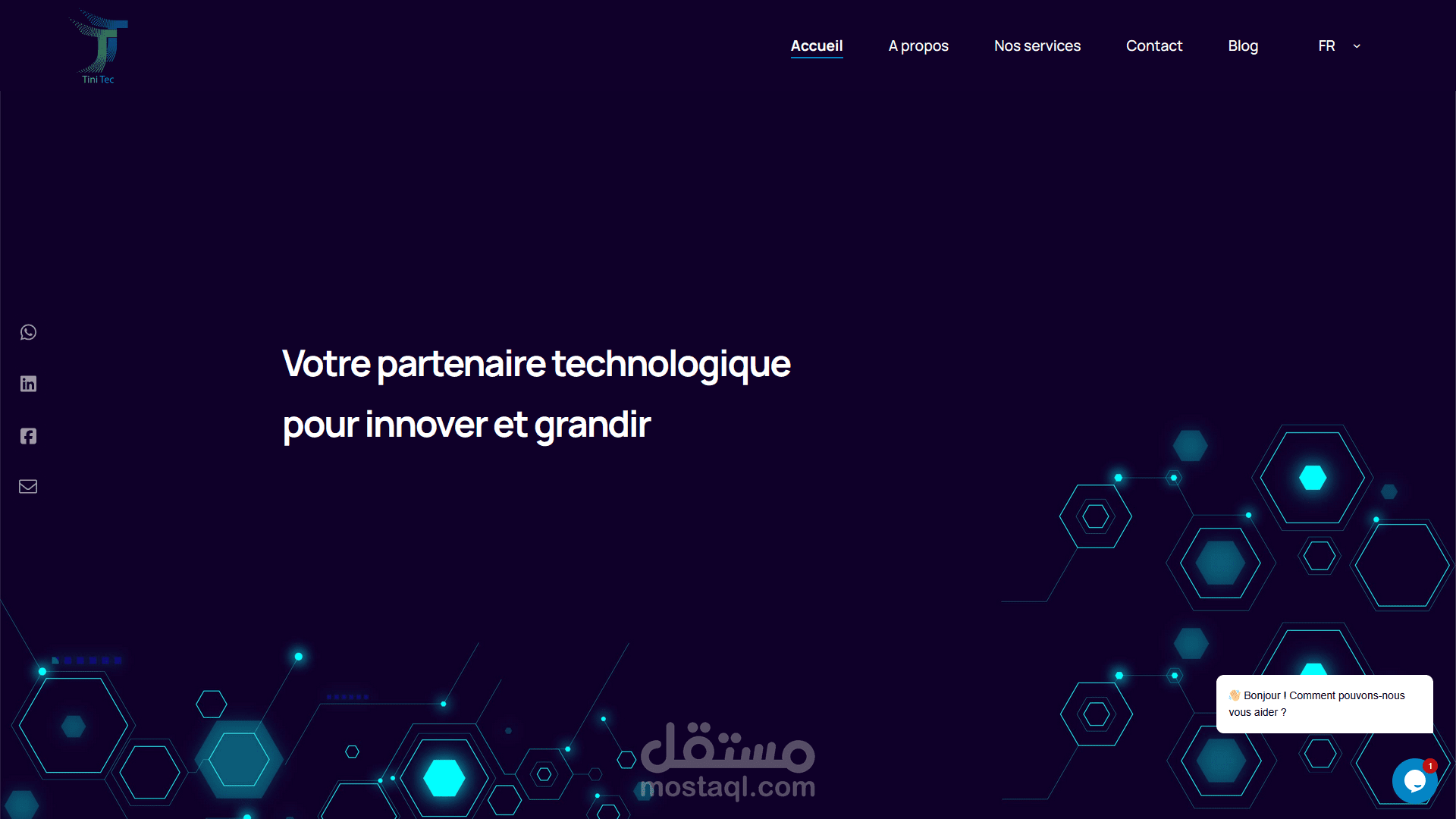 موقع إلكتروني تمثيلي  (tinitec)