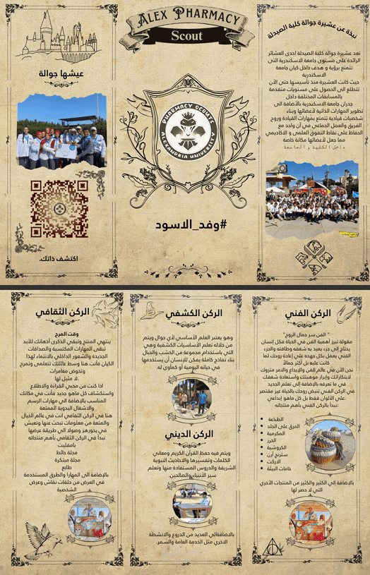 تصميم بروشور احترافي (ثيم هاري بوتر + ثيم كرتون UP)