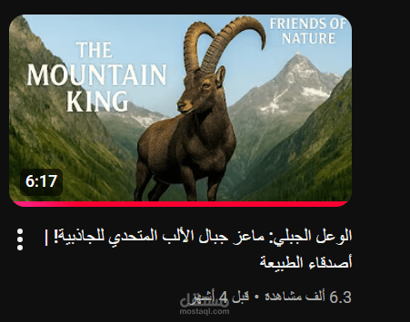 منتاج فيديو يوتيوب – قناة تعليمية