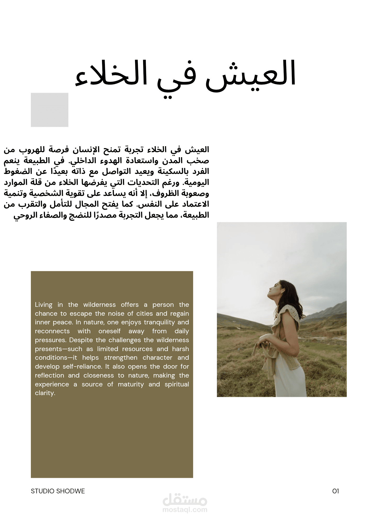 ترجمة نصوص تقنية وأدبية وتسويقية بدقة عالية