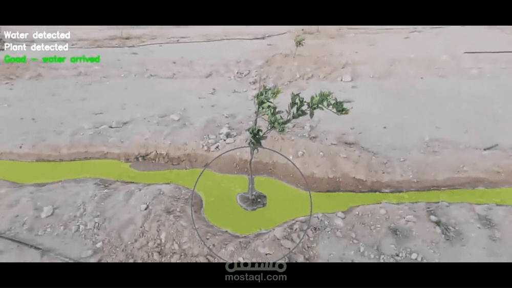 Zero-Shot Water Irrigation Detection System باستخدام SAM2.