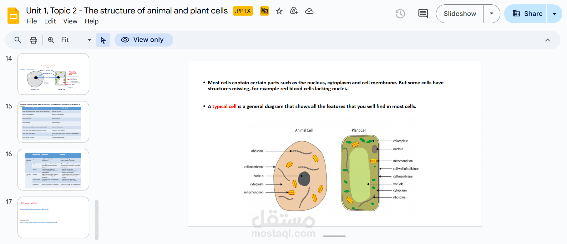 explaining and tutering Biology to a private grade 7students