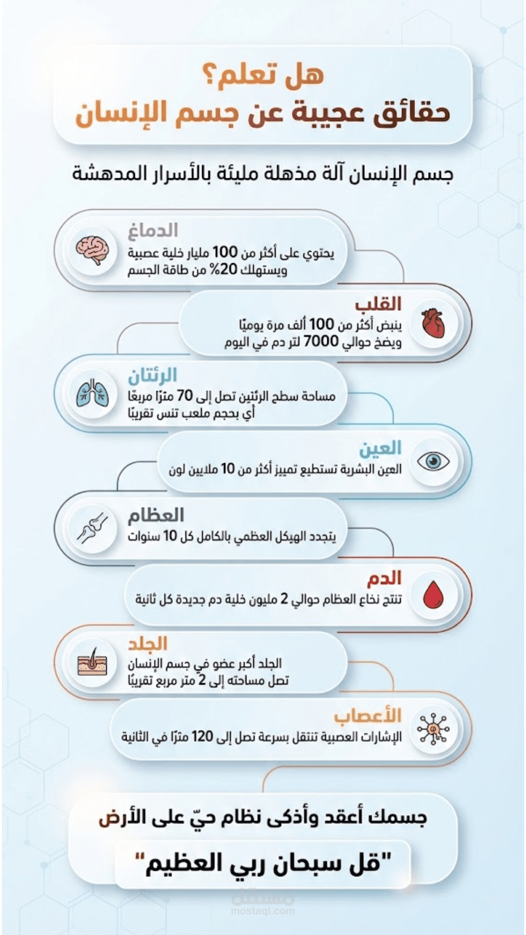 تصميم انفوجرافيك احترافية + تلخيص الكتب وعمل منها انفوجرافيك احترافية