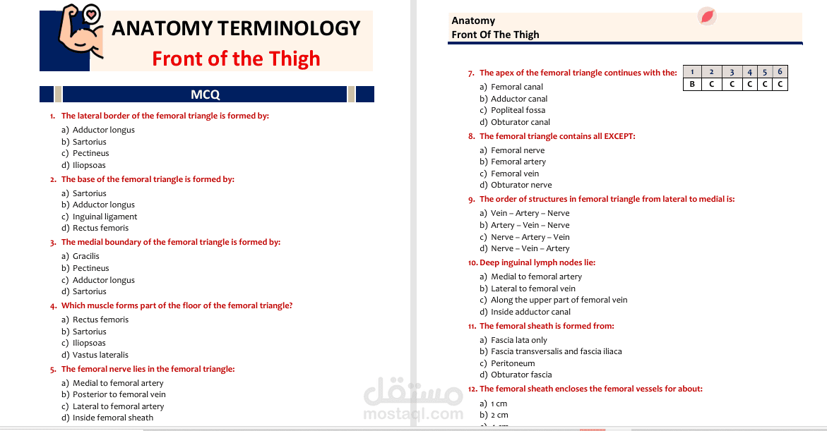 إعداد بنك أسئلة MCQ احترافي – Front of the Thigh (Anatomy)