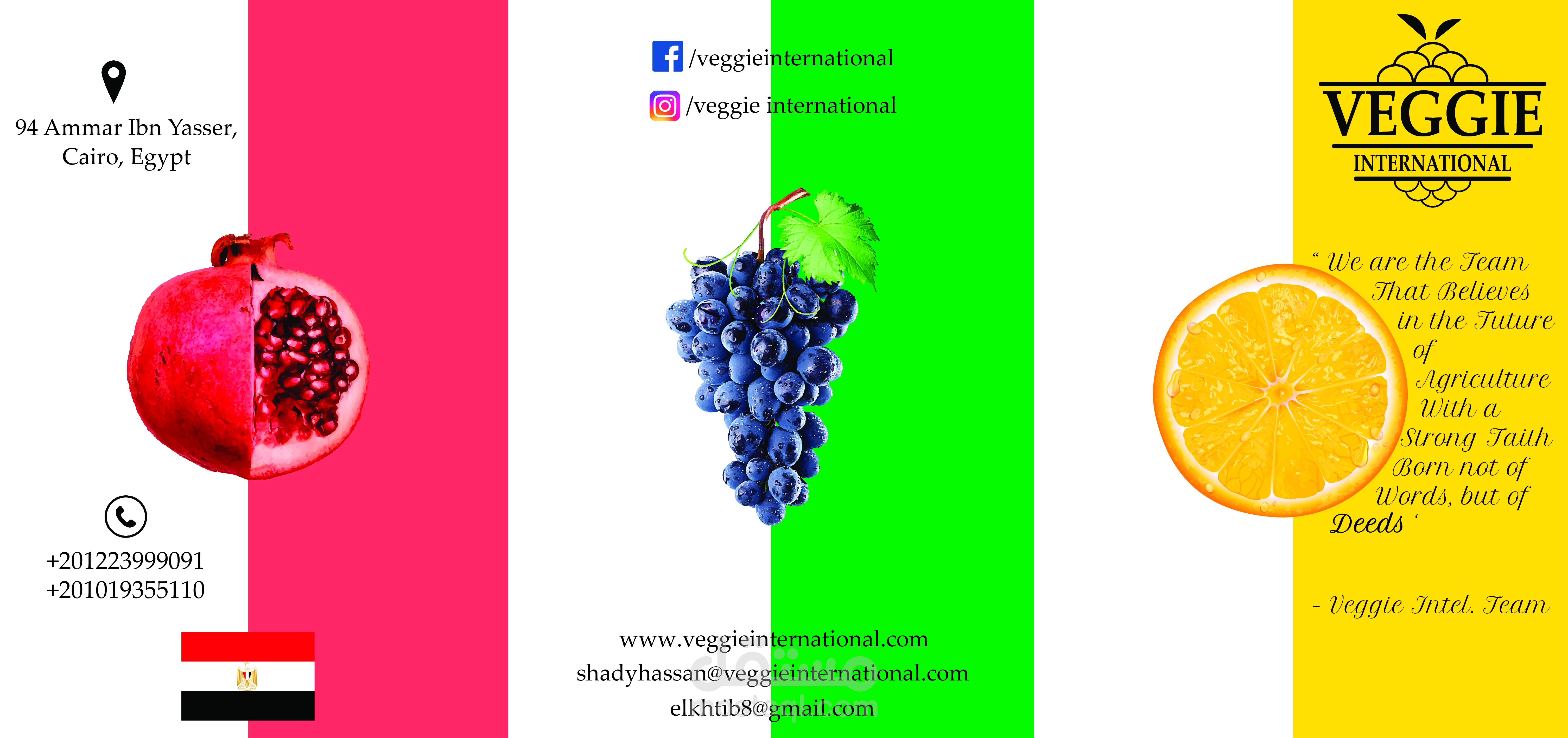 Veggie Brochure
