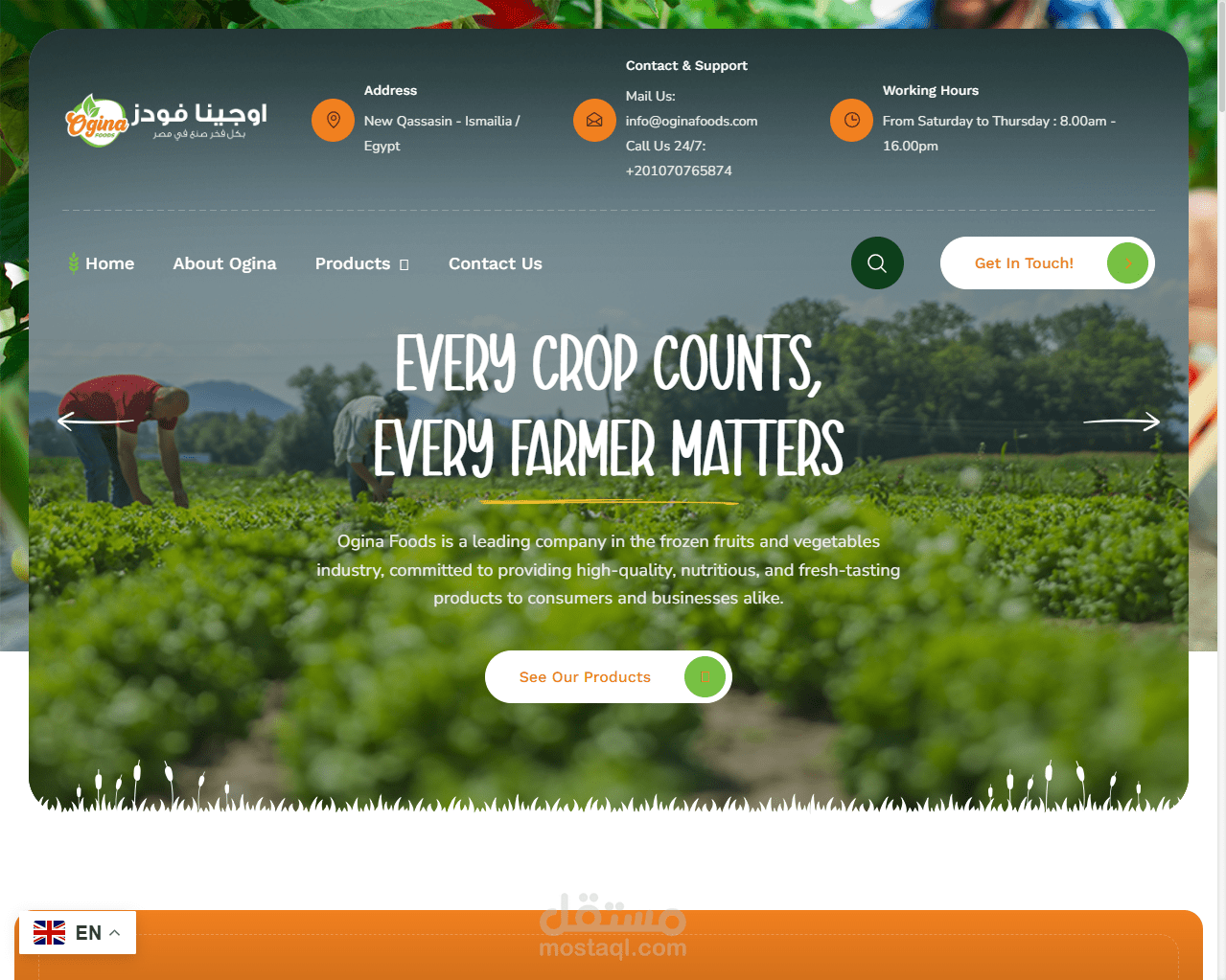 ويب سايت لشركة توريد و تصدير الفواكه و الخضار