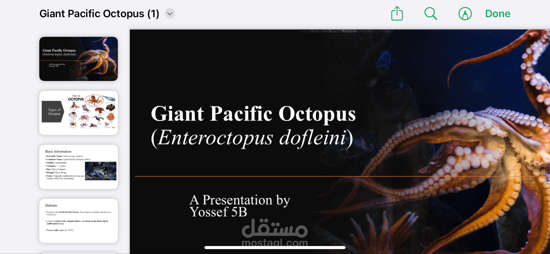Octopus lecture for fifth grade