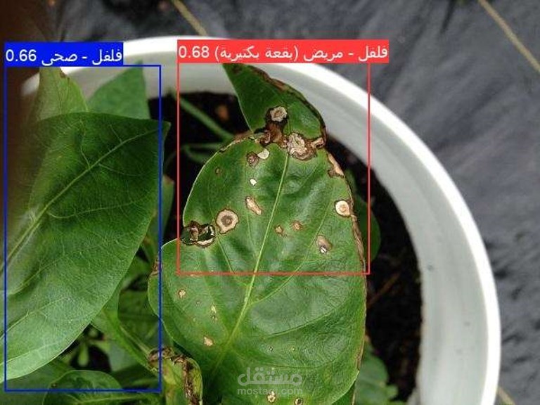 SMART AGRICULTURE: Plant Disease Detection