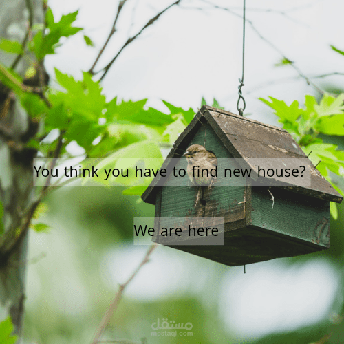 Realestate Advertisment