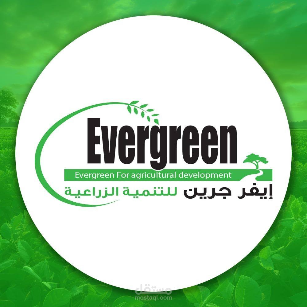 مسؤول حسابات