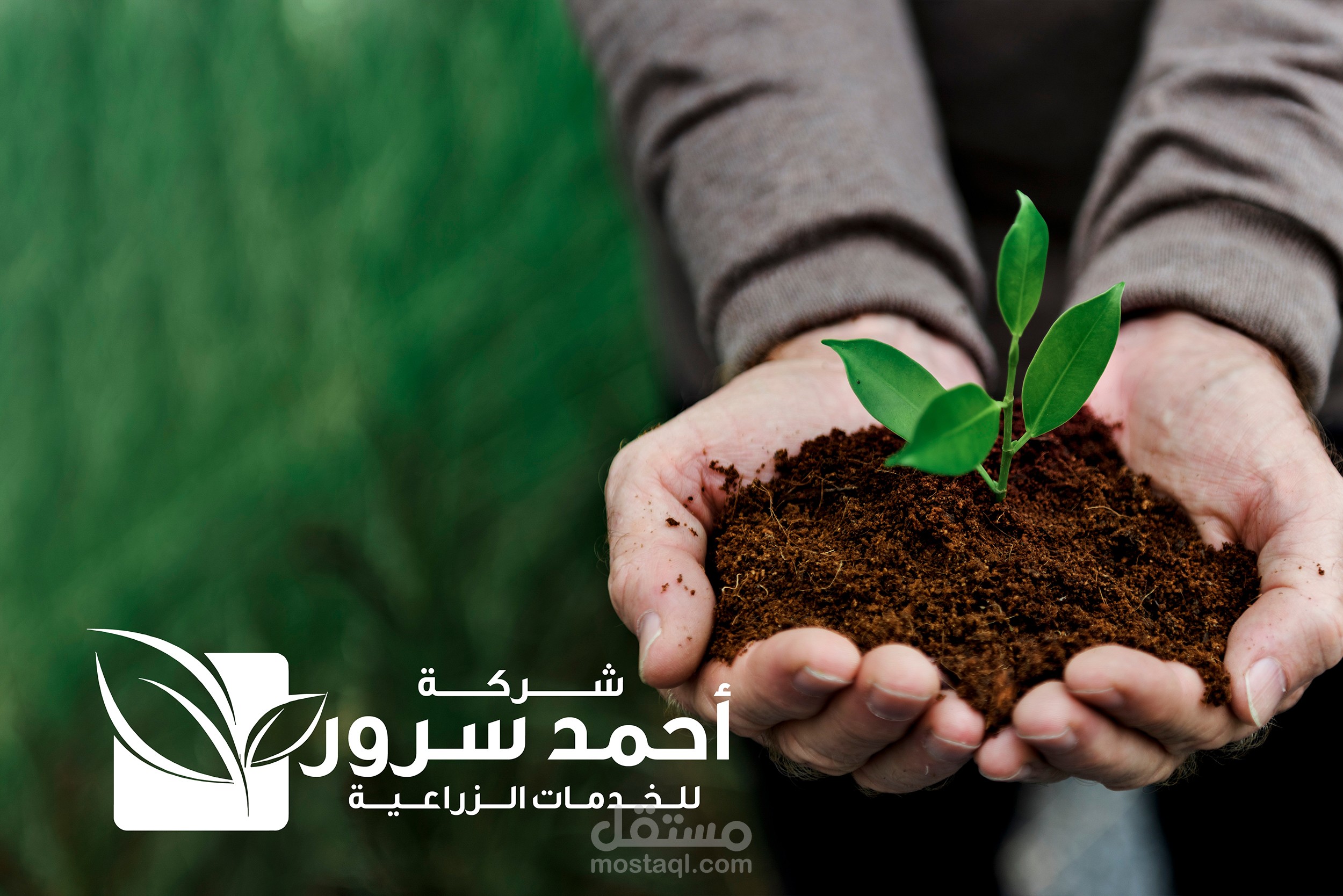 هوية بصرية شركة زراعية