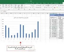ادخال بيانات على اكسل لمتجر