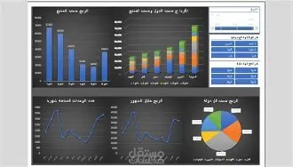 ادخال بيانات على اكسل بشكل احترافي مع مخططات