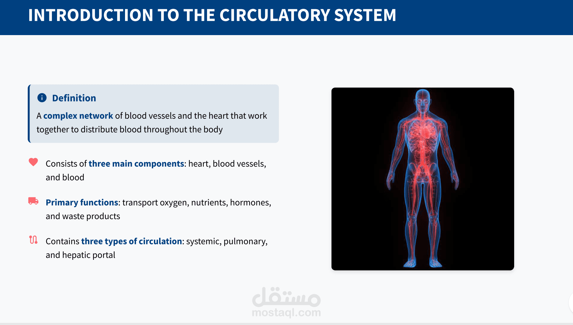 تصميم عرض تقديمي طبي تعليمي – الجهاز الدوري