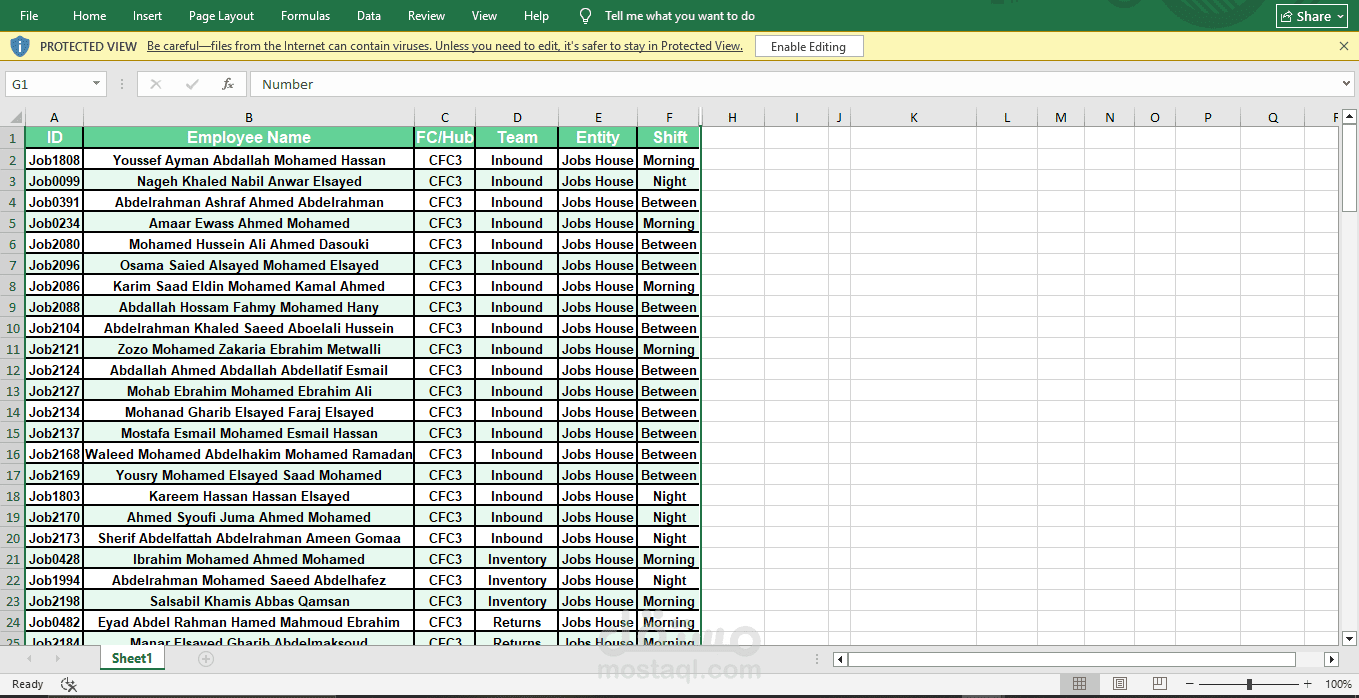 إدخال وتنظيم البيانات باستخدام Excel