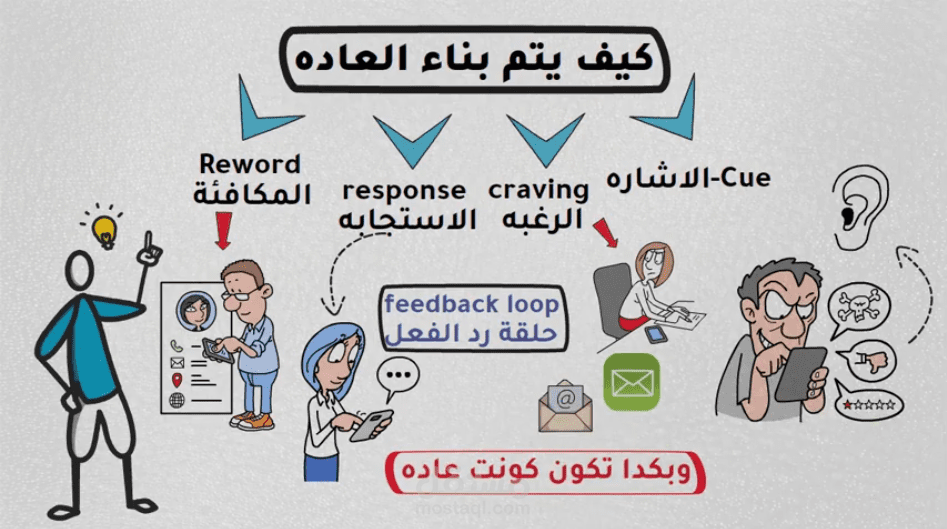 كيف يتم بناء العاده