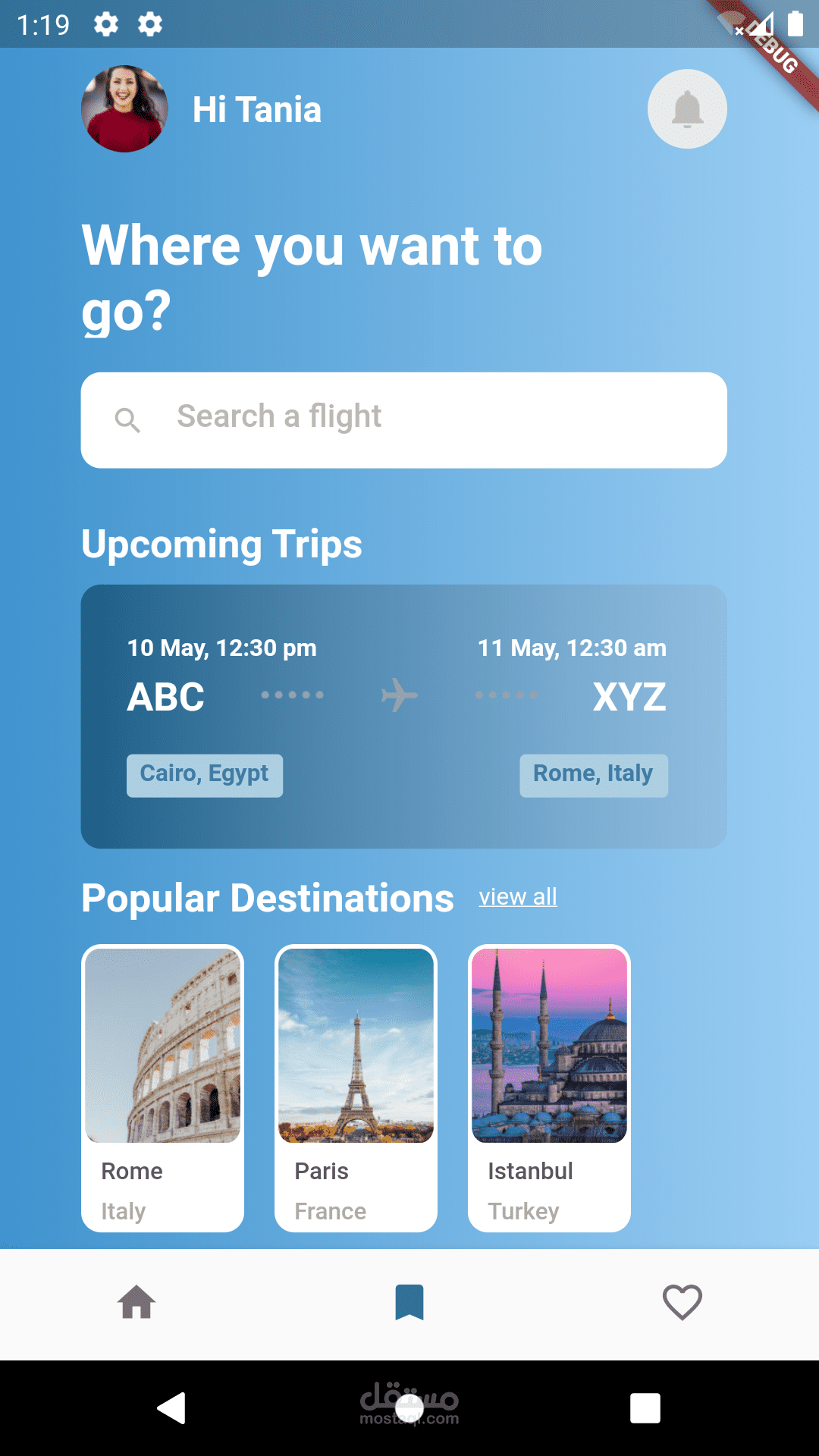 Flight reservation interfaces