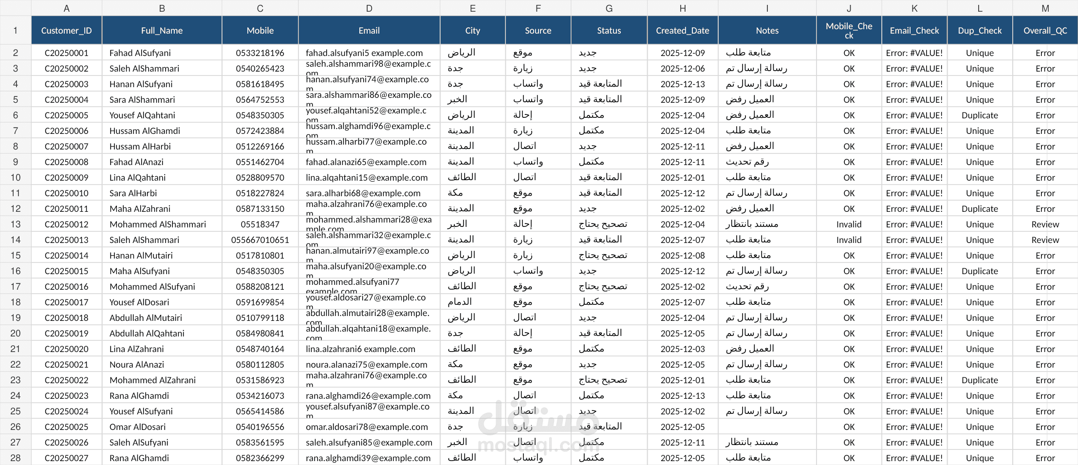 نموذج ملف Excel لإدخال البيانات وتنظيفها وتدقيقها