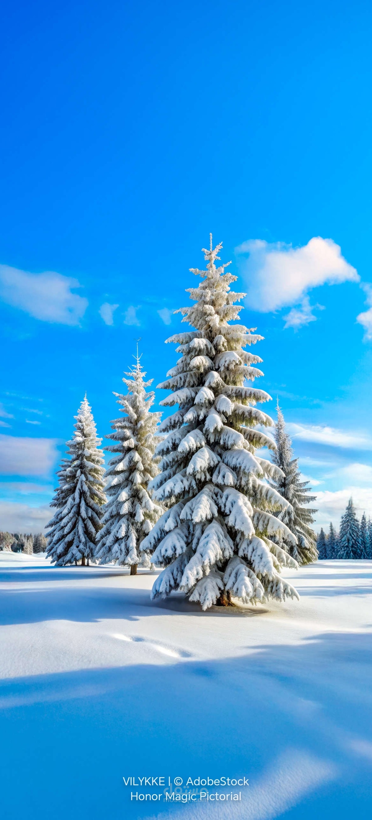 عرض تقديمي بوربوينت