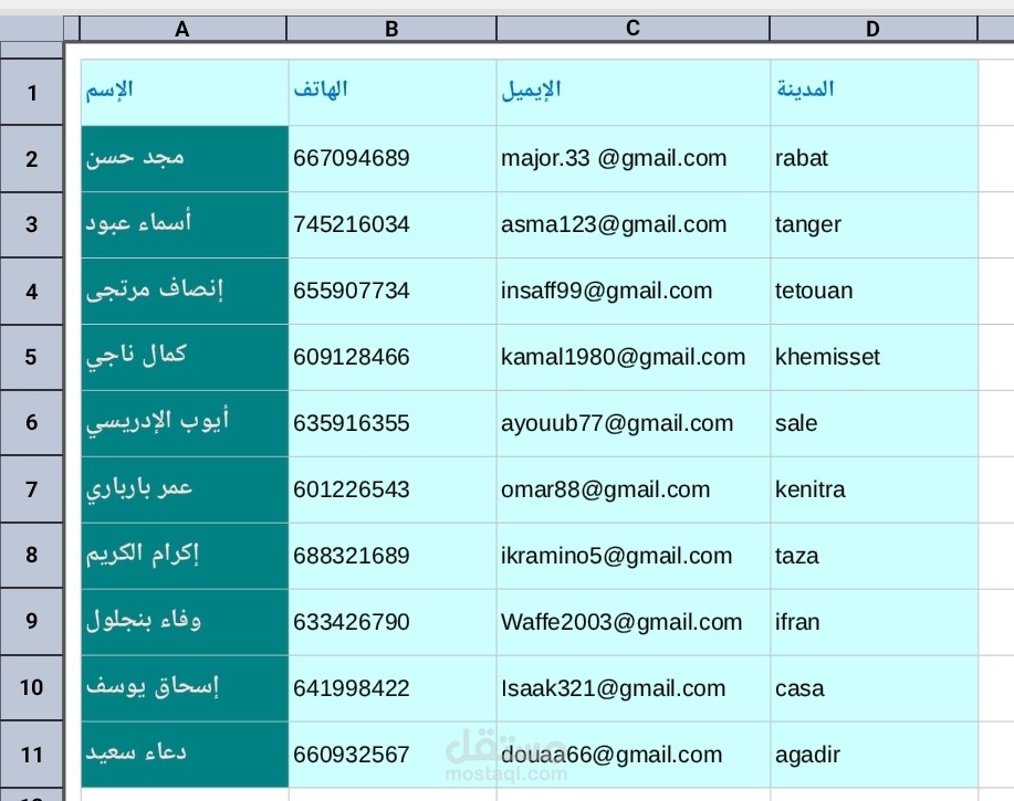 إدخال وتنظيم بيانات في ملف Excel باحترافية