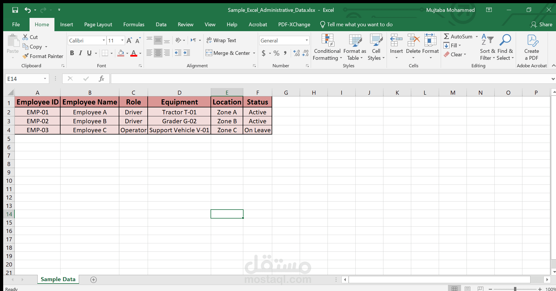 Excel-Based Administrative Data Management
