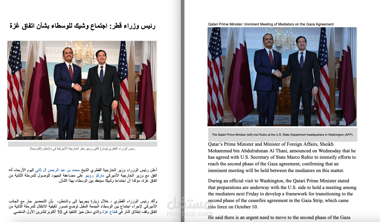 ترجمة ملف سياسي باحتراف