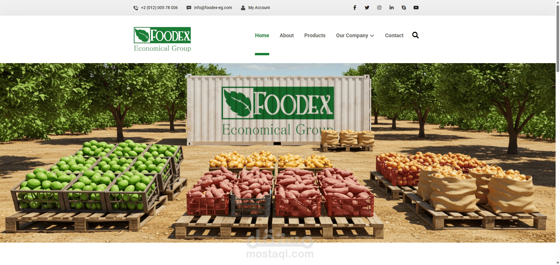 موقع فودكس لتصدير المنتجات الزراعية