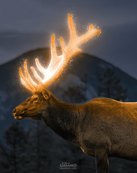 تحويل المشهر الليلي الى نهاري